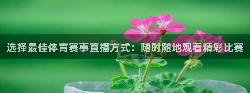 斗球直播网页版